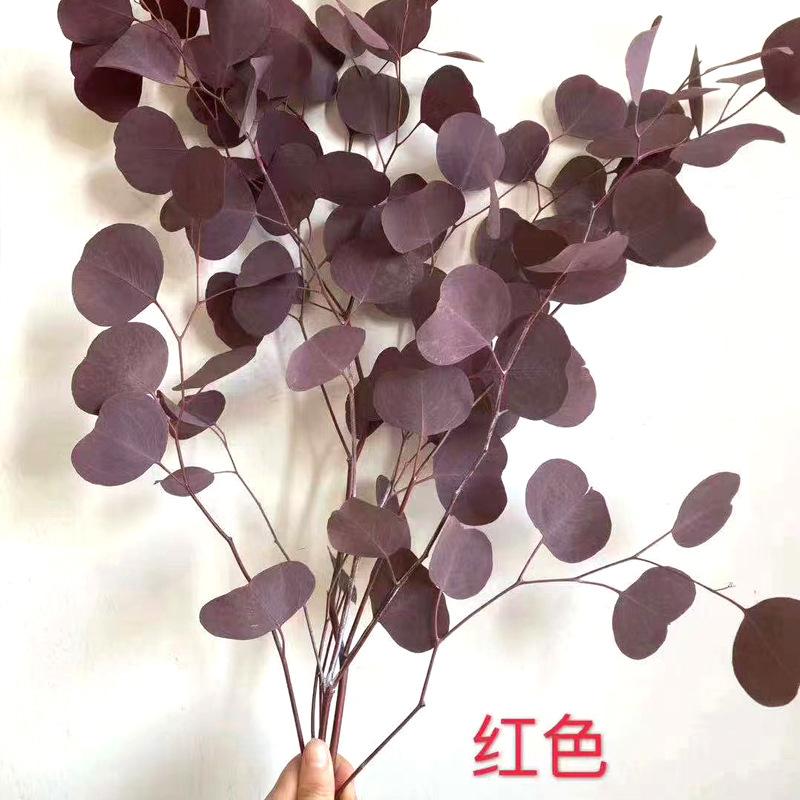 Вечный яблочный лист Новогодний цветок 120 г Цветочные аксессуары Свадебная композиция Главная Цветочная композиция Вечный яблочный лист
Вечный яблочный лист Новогодний цветок 120 г Цветочные аксессуары Свадебная композиция Главная Цветочная композиция Вечный яблочный лист