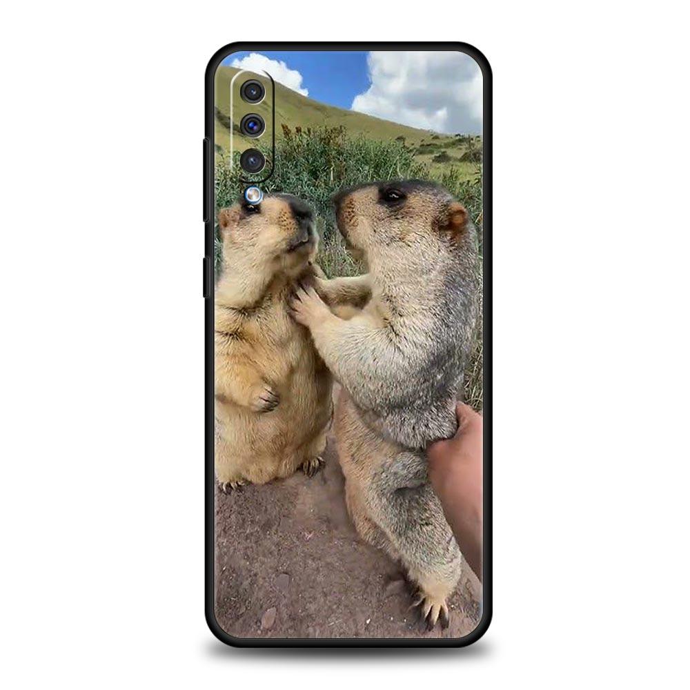 marmot Phone Case For Samsung A26 A36 A56 A54 A52 A50 A70 A40 A20S A20E A12 A14 A16 A22 A24 A42 A34 A32 5G A04s A06 5G Cover Samsung A16 5G
marmot Phone Case For Samsung A26 A36 A56 A54 A52 A50 A70 A40 A20S A20E A12 A14 A16 A22 A24 A42 A34 A32 5G A04s A06 5G Cover Samsung A16 5G