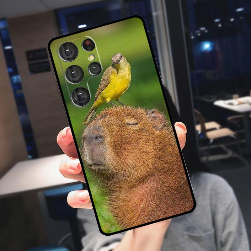 Funny Capybara Cover For Samsung Galaxy S23 S24 S25 Ultra S21 S22 S20 S9 S10 Plus S21 FE S24 FE Phone Case Note 20 Ultra
Funny Capybara Cover For Samsung Galaxy S23 S24 S25 Ultra S21 S22 S20 S9 S10 Plus S21 FE S24 FE Phone Case Note 20 Ultra