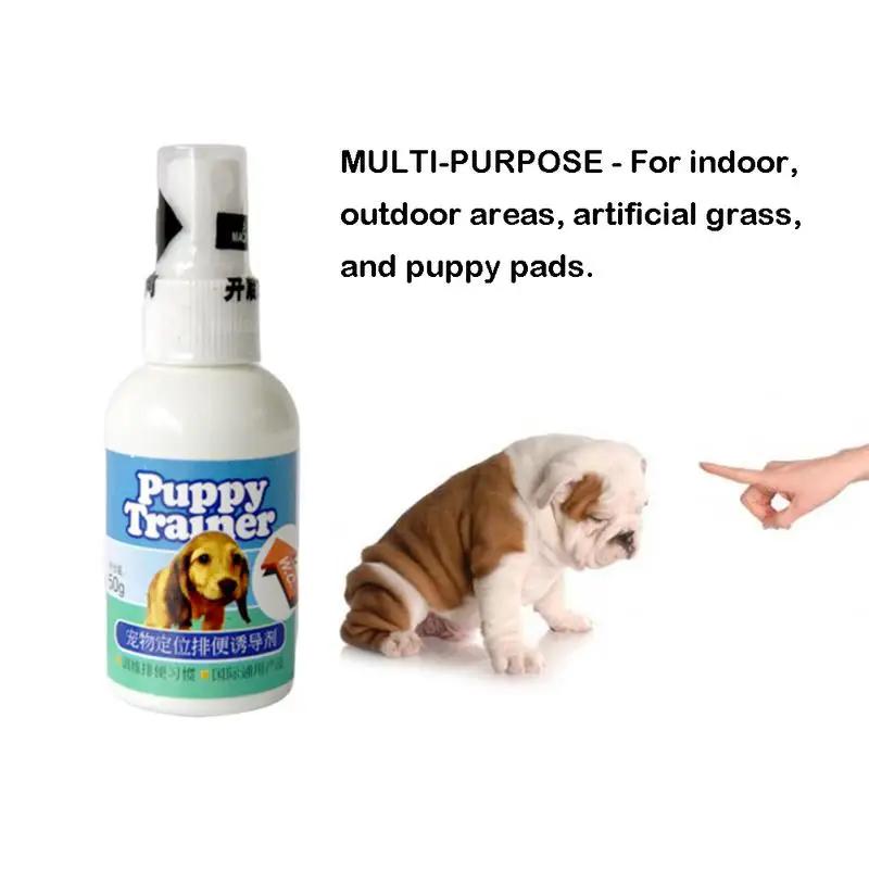 1PCS 50ML Dog Potty Training Aid Spray Potty Trainer Pet Corrector Guide Pet To Pee At Fixed Spot Urinate Trampa Para Mascotas China Mainland
1PCS 50ML Dog Potty Training Aid Spray Potty Trainer Pet Corrector Guide Pet To Pee At Fixed Spot Urinate Trampa Para Mascotas China Mainland
