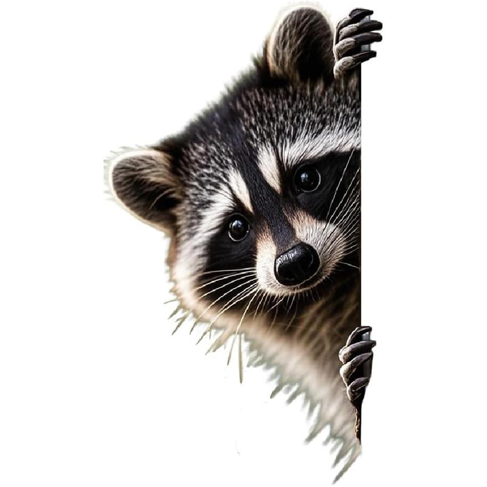 2Pack Peeking Raccoon Stickers,Funny Raccoon Cute Car Decal 4.69 * 7.87 Inches Decal Car Window Laptop Wall Bumper Sticker (1 Left 1 Right) 2 Left
2Pack Peeking Raccoon Stickers,Funny Raccoon Cute Car Decal 4.69 * 7.87 Inches Decal Car Window Laptop Wall Bumper Sticker (1 Left 1 Right) 2 Left