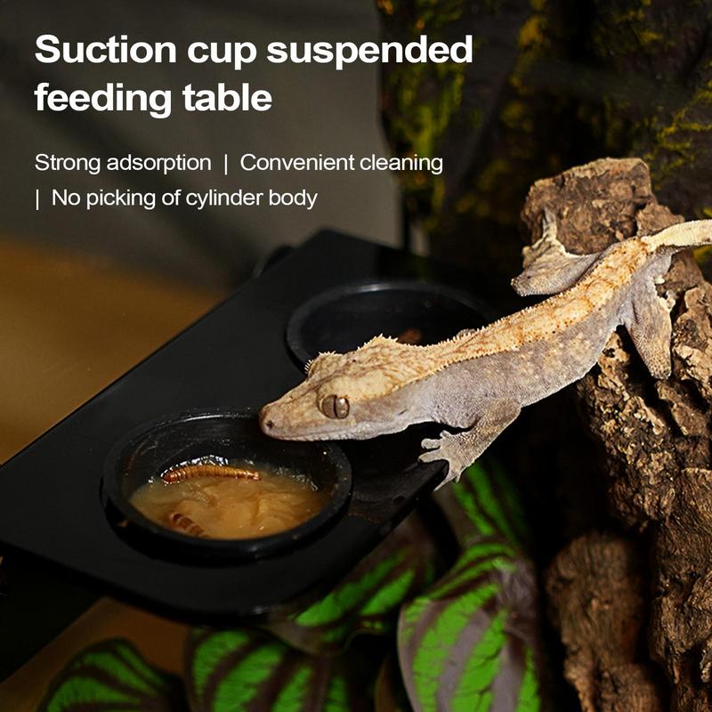 Food Dish For Reptiles Suction Cup Gecko Water Dish Lightweight Portable Reptile Feeder Bowl For Bearded Dragons Snake Frog CHINA
Food Dish For Reptiles Suction Cup Gecko Water Dish Lightweight Portable Reptile Feeder Bowl For Bearded Dragons Snake Frog CHINA