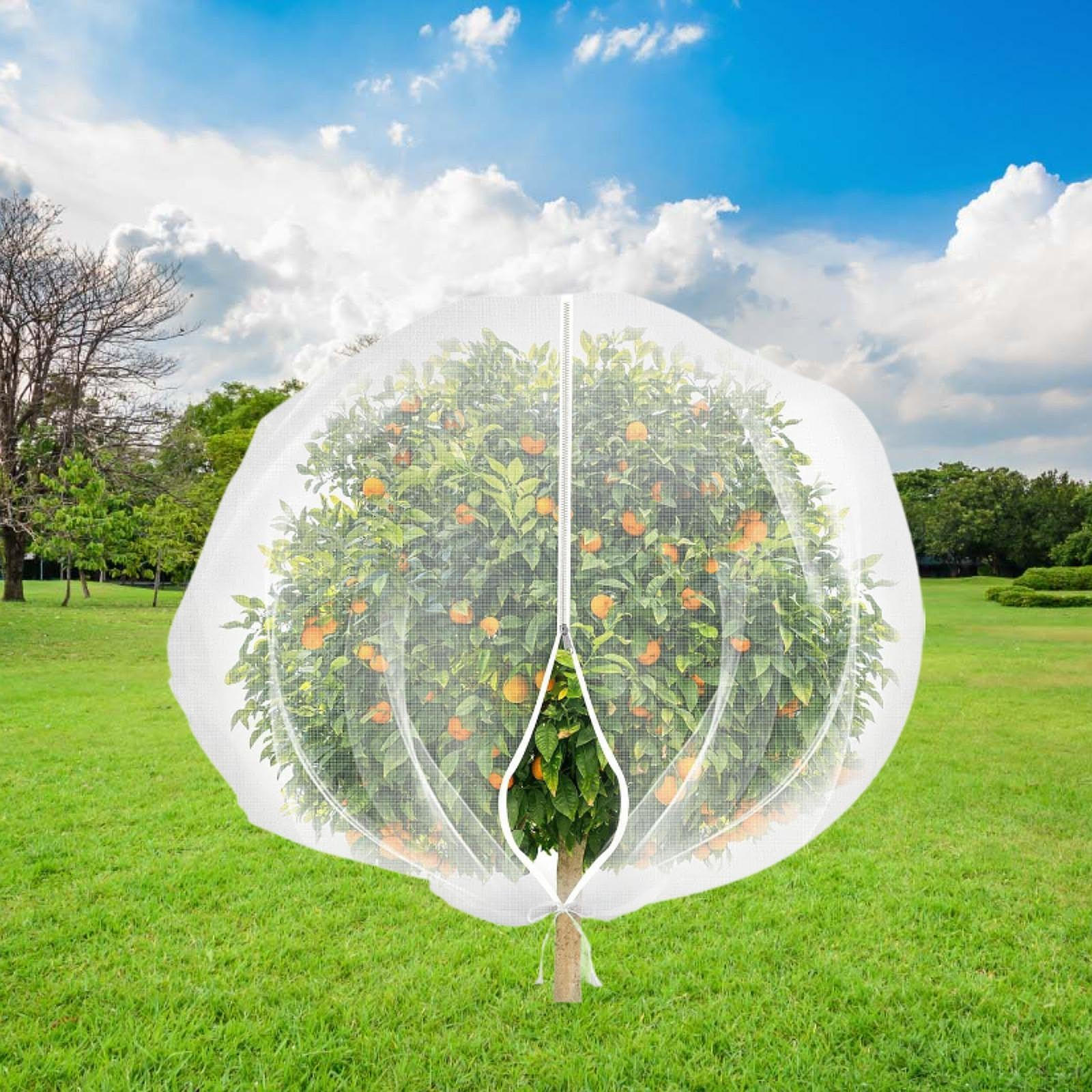 Чехлы для деревьев, износостойкие, садовая сумка-кошелек с застежкой-молнией и шнуром для оранжевых овощей и цветов 1.8x1.8Meters
Чехлы для деревьев, износостойкие, садовая сумка-кошелек с застежкой-молнией и шнуром для оранжевых овощей и цветов 1.8x1.8Meters