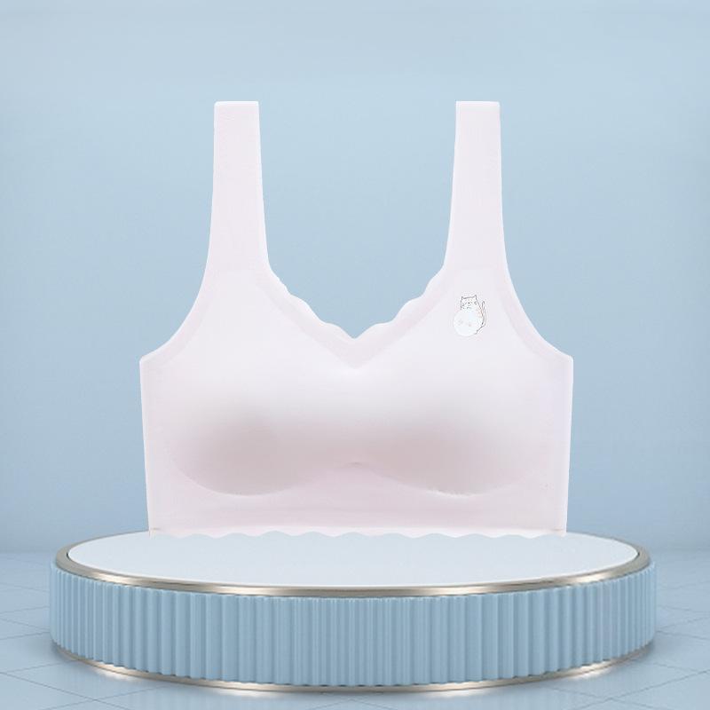 Less bra second stage children s development period primary school junior high school students children s seamless small vest xl( 45-60kg ) фіолетовий
Less bra second stage children s development period primary school junior high school students children s seamless small vest xl( 45-60kg ) фіолетовий