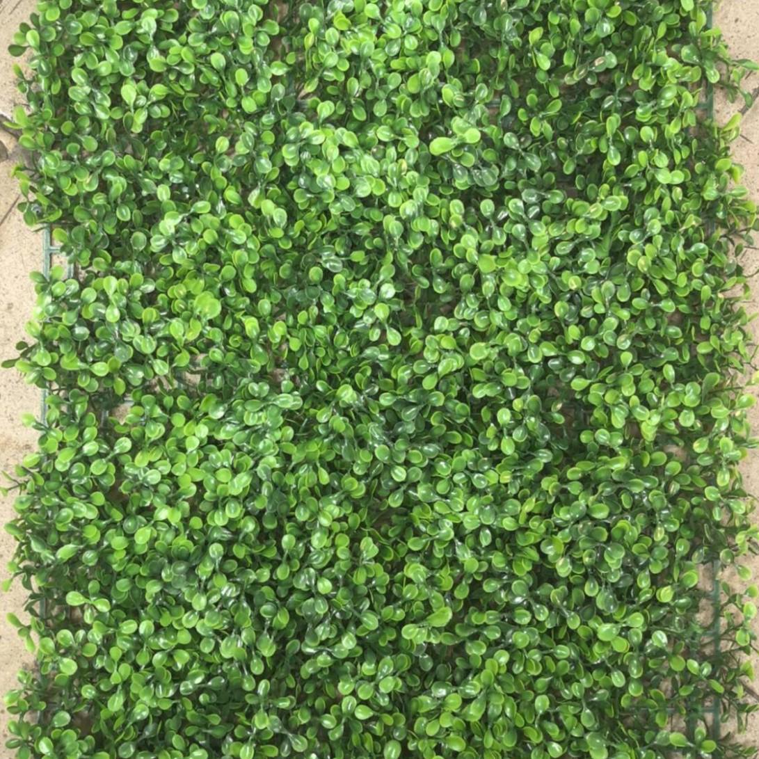 Artificial Grass Wall Panel for Home and Garden Decor 40*60CM
Artificial Grass Wall Panel for Home and Garden Decor 40*60CM