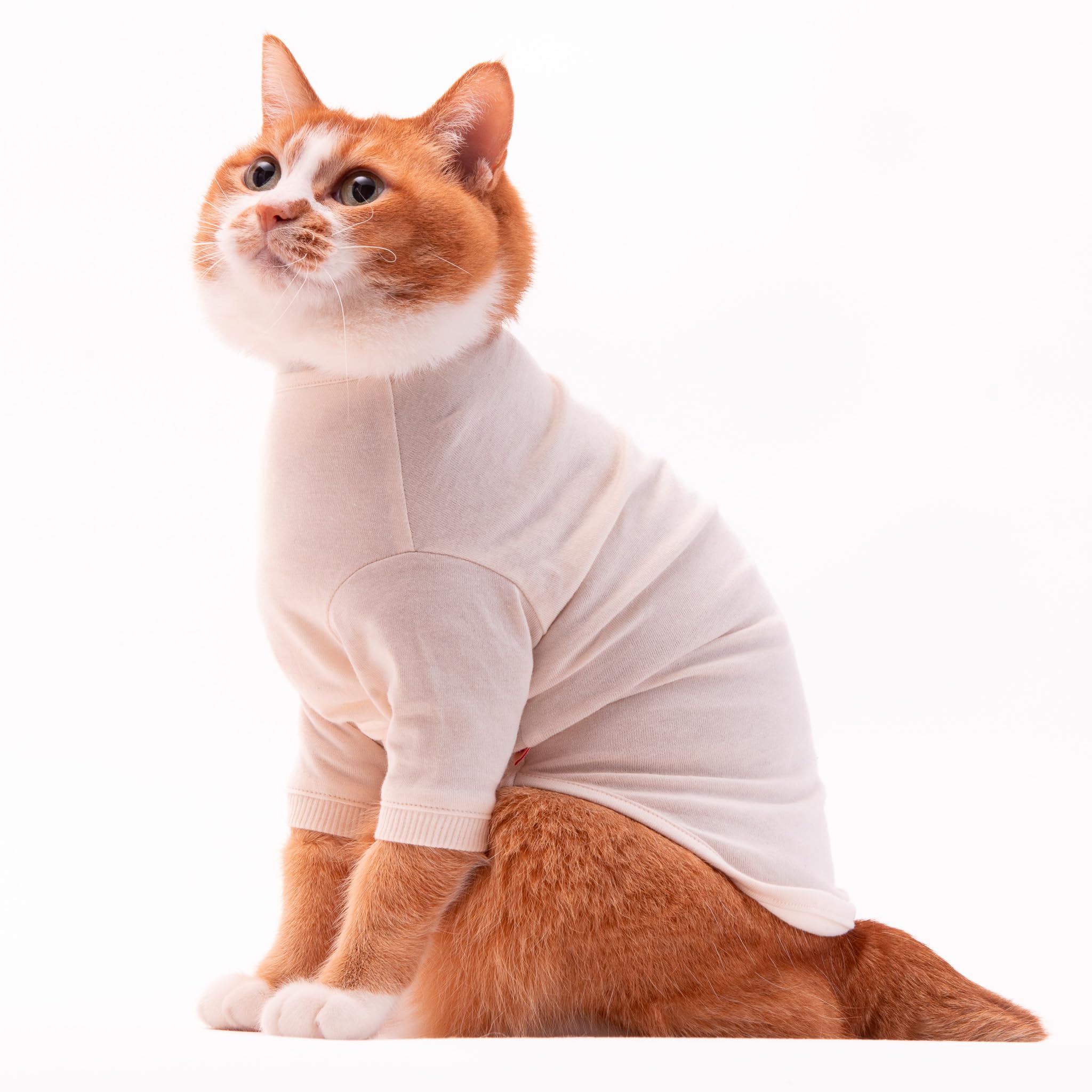 Одежда для кошек Poponeko Cat Friendly для кошек, футболка из органического хлопка, однотонная (Длинные рукова) (Айвори, С.) слоновая кость
Одежда для кошек Poponeko Cat Friendly для кошек, футболка из органического хлопка, однотонная (Длинные рукова) (Айвори, С.) слоновая кость