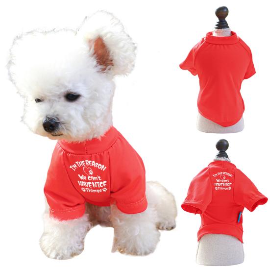 Весенне-летняя хлопковая одежда для маленьких собак, мягкая дышащая футболка красного цвета с буквенным принтом, одежда для двуногих домашних животных
Весенне-летняя хлопковая одежда для маленьких собак, мягкая дышащая футболка красного цвета с буквенным принтом, одежда для двуногих домашних животных