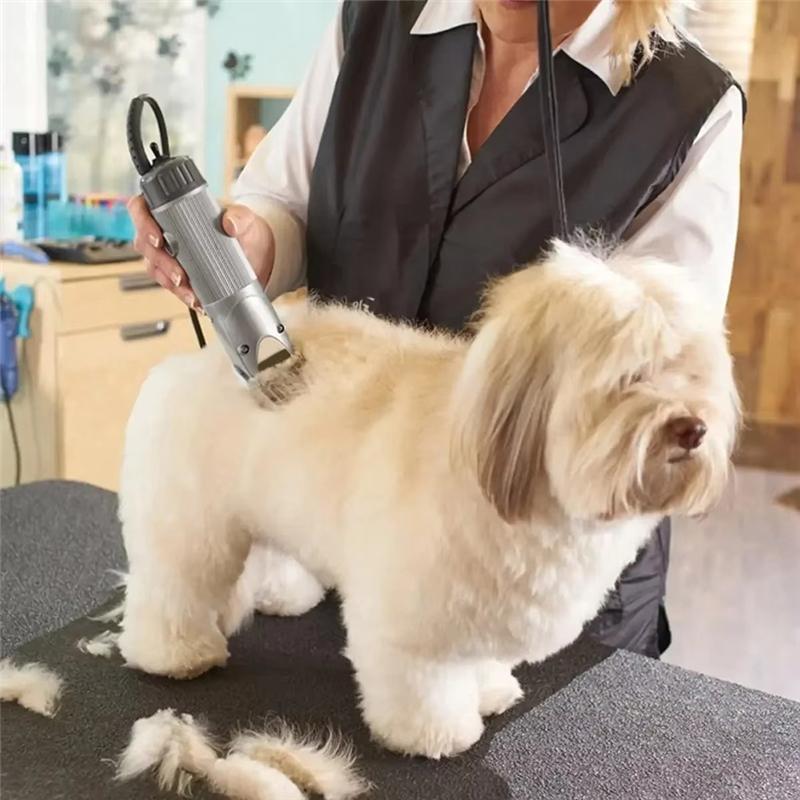 Pro Detachable Blade For Wahl KM 10 Animals Clippers/Most For Andis AG,AGC,SMC And More/For Oster A5 Cutter Head NONE
Pro Detachable Blade For Wahl KM 10 Animals Clippers/Most For Andis AG,AGC,SMC And More/For Oster A5 Cutter Head NONE