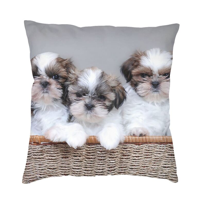 Персонализированные три милые наволочки Ши-тцу, украшение, современная подушка для собак и животных, украшение для салона, квадратная наволочка 30x30cm 12x12in
Персонализированные три милые наволочки Ши-тцу, украшение, современная подушка для собак и животных, украшение для салона, квадратная наволочка 30x30cm 12x12in