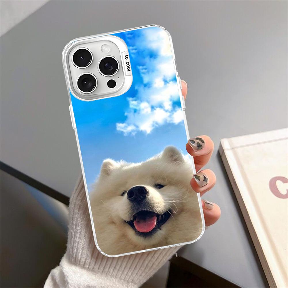 Samoyed dog Phone Case For iPhone 16 15 14 13 12 11 Pro Max X XR XSMAX Matte Shockproof Back Cover iPhone 13 pro
Samoyed dog Phone Case For iPhone 16 15 14 13 12 11 Pro Max X XR XSMAX Matte Shockproof Back Cover iPhone 13 pro