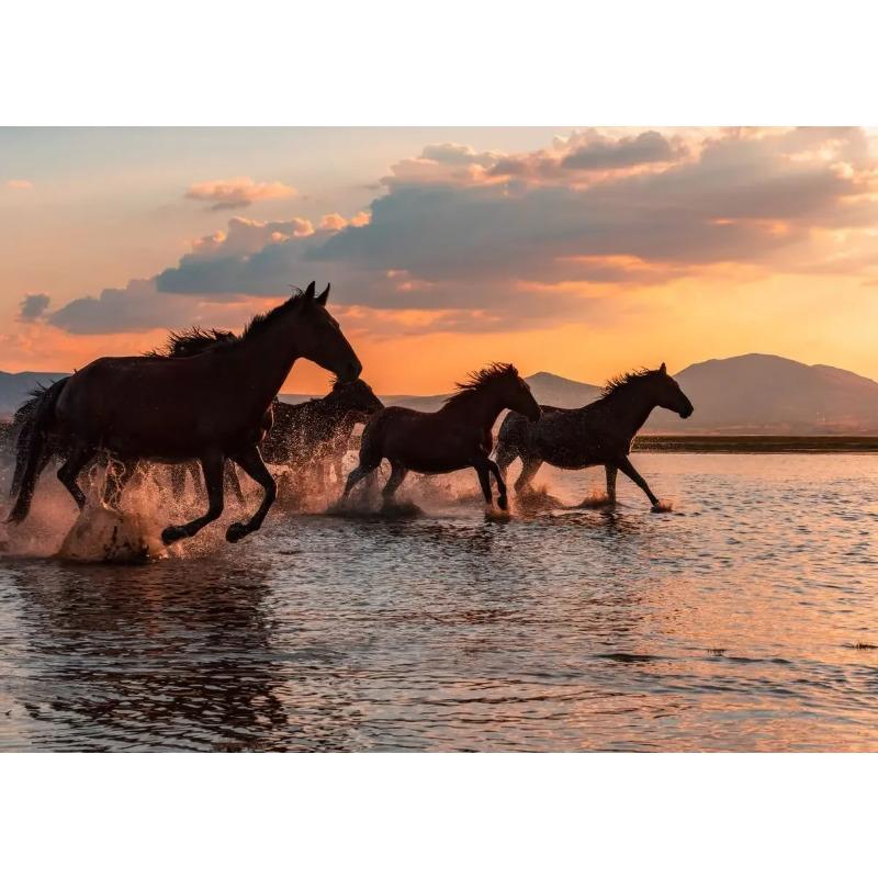 Canvas Painting Horse Wall Art Picture Horse Poster Beauty of Wild Animal Room Decor Decoration for Home Cuadros Animal Print 21X30CMNo Framed
Canvas Painting Horse Wall Art Picture Horse Poster Beauty of Wild Animal Room Decor Decoration for Home Cuadros Animal Print 21X30CMNo Framed