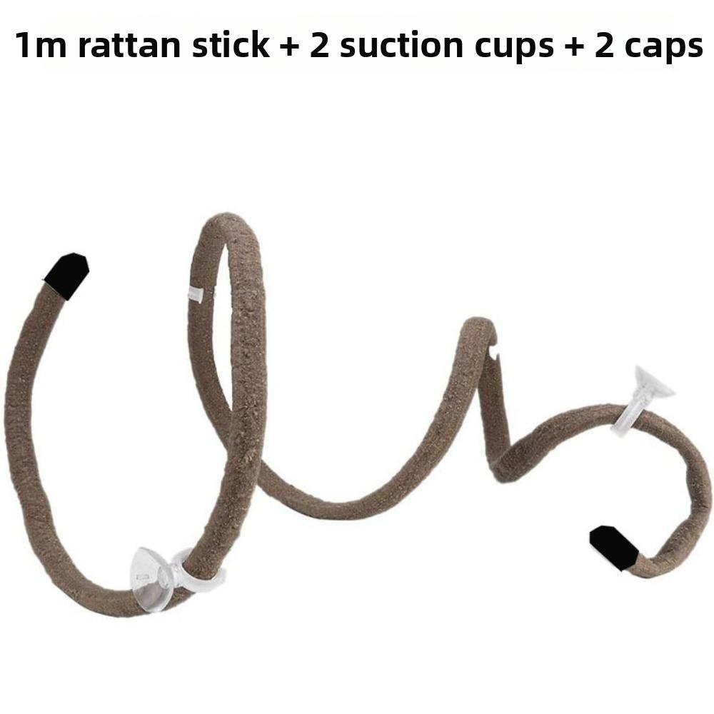 Rattan Reptile Vines Set with Suction Cups Climbing Parts Reptile Habitat Easy To Install Lizard Terrarium Decor Pet Supplies
Rattan Reptile Vines Set with Suction Cups Climbing Parts Reptile Habitat Easy To Install Lizard Terrarium Decor Pet Supplies