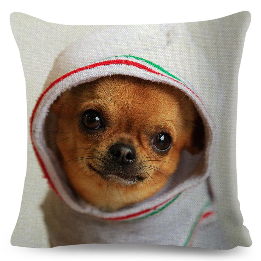 Cute Little Dog Chihuahua Cushion Cover Decor Lovely Pet Animal Pillowcase Polyester Throw Pillow Case for Sofa Home Car 45x45cm 40x40cm16x16Inch
Cute Little Dog Chihuahua Cushion Cover Decor Lovely Pet Animal Pillowcase Polyester Throw Pillow Case for Sofa Home Car 45x45cm 40x40cm16x16Inch