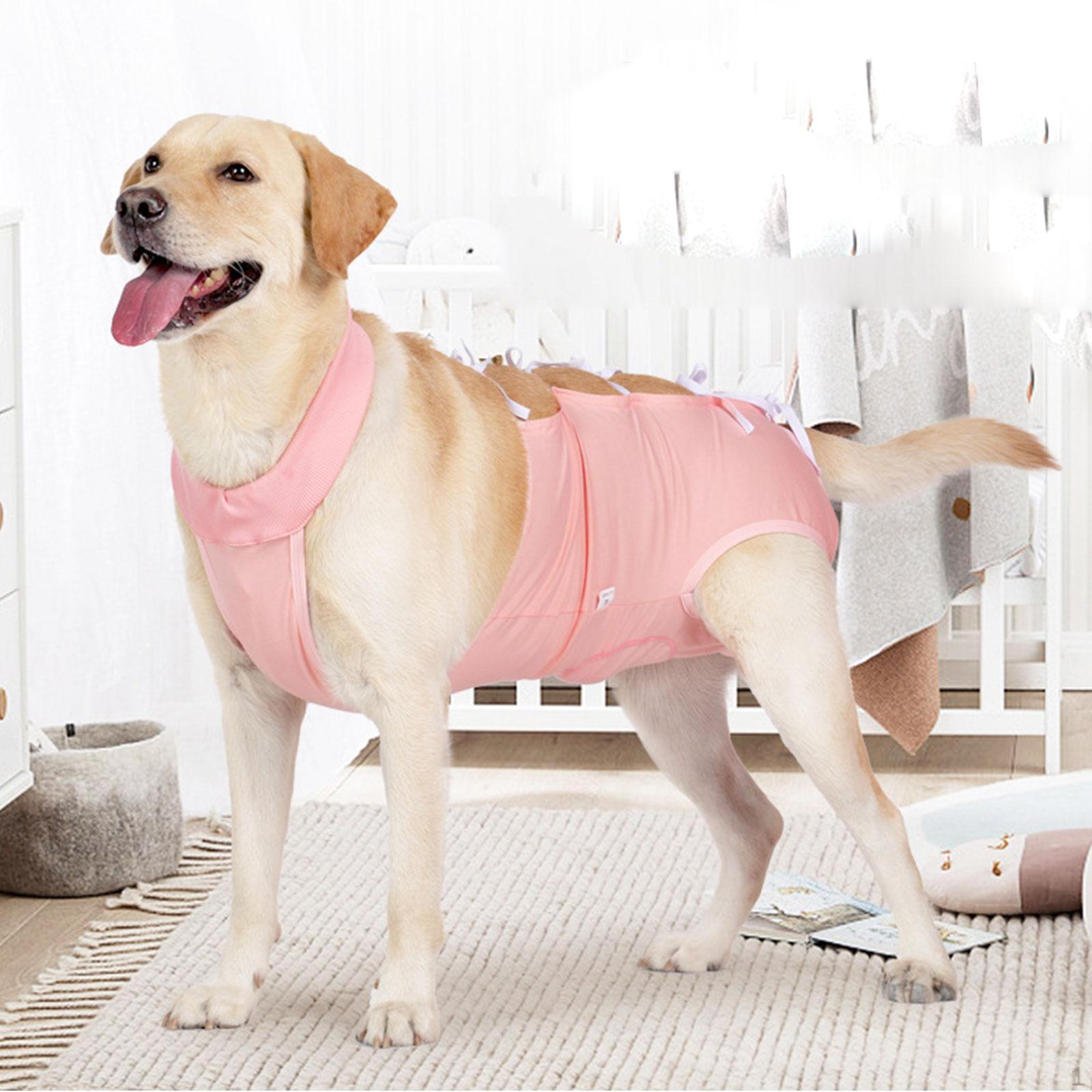 Костюм для восстановления после ранений в брюшную полость, дышащий, предотвращает облизывание послеоперационного тела Pink L
Костюм для восстановления после ранений в брюшную полость, дышащий, предотвращает облизывание послеоперационного тела Pink L