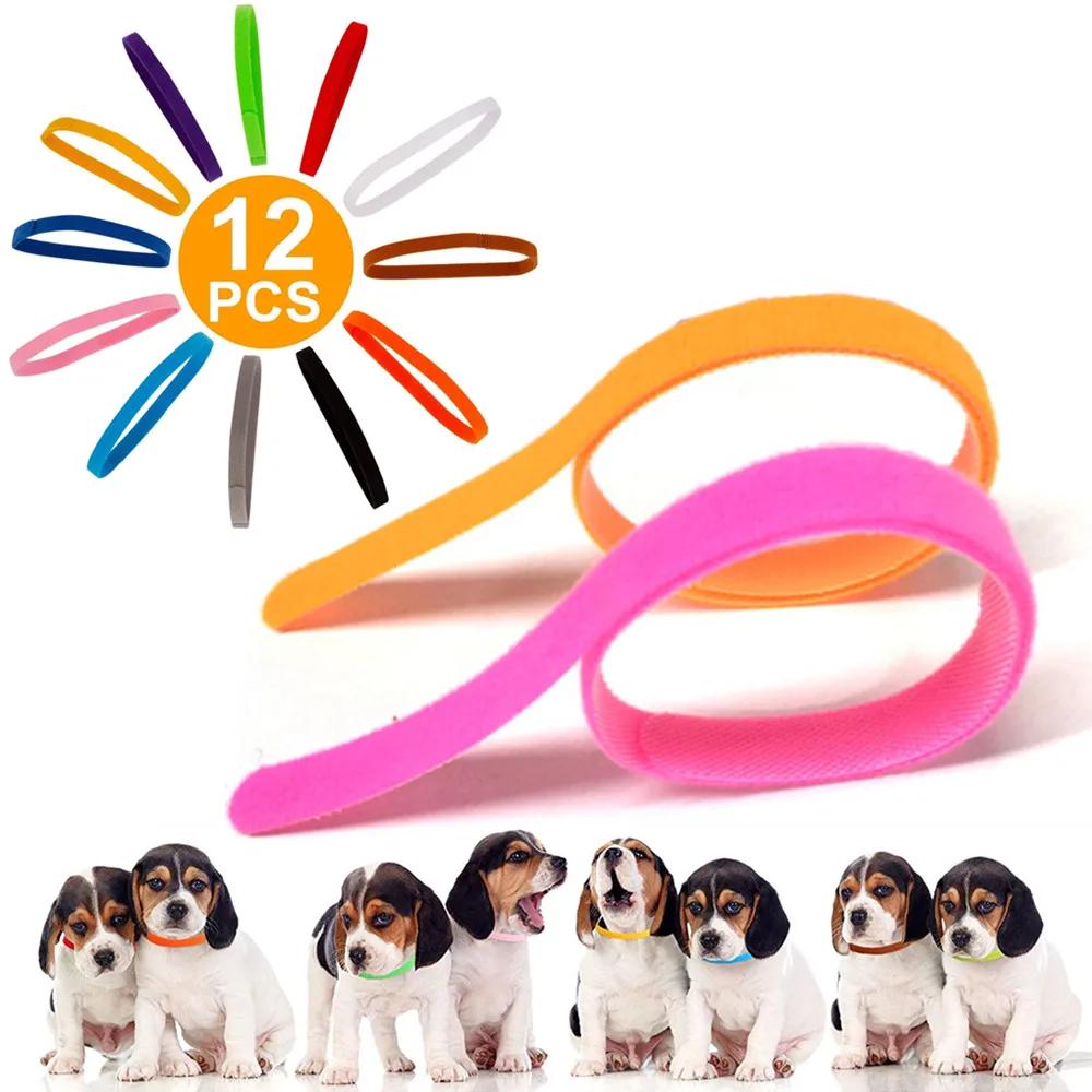 12 Pcs/Set Soft Nylon Puppy Newborn Pet ID Identify Collars Adjustable Colorful Whelping Small Dogs Cats Kitten Velcro Collars S(10x200MM)
12 Pcs/Set Soft Nylon Puppy Newborn Pet ID Identify Collars Adjustable Colorful Whelping Small Dogs Cats Kitten Velcro Collars S(10x200MM)