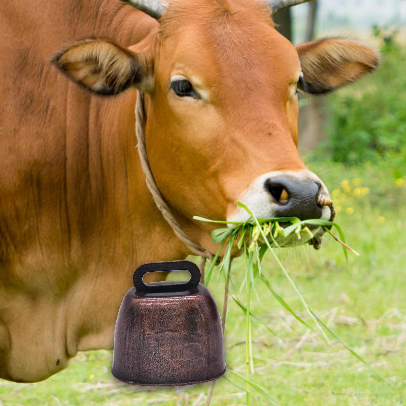 Grazing Bell Premium Cowbell Wind Chime Pendant Loud Bells Ornament That Calls Loudly for Sheep, Red Bronze Color
Grazing Bell Premium Cowbell Wind Chime Pendant Loud Bells Ornament That Calls Loudly for Sheep, Red Bronze Color