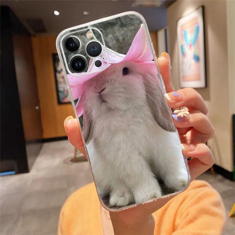 Rabbit Bunny Animal Phone Case For iphone 17ProMax 17 Pro Air 16 15 14 13 Pro Max 16 15 14 13 Pro 15Plus iPhone 13ProMax
Rabbit Bunny Animal Phone Case For iphone 17ProMax 17 Pro Air 16 15 14 13 Pro Max 16 15 14 13 Pro 15Plus iPhone 13ProMax