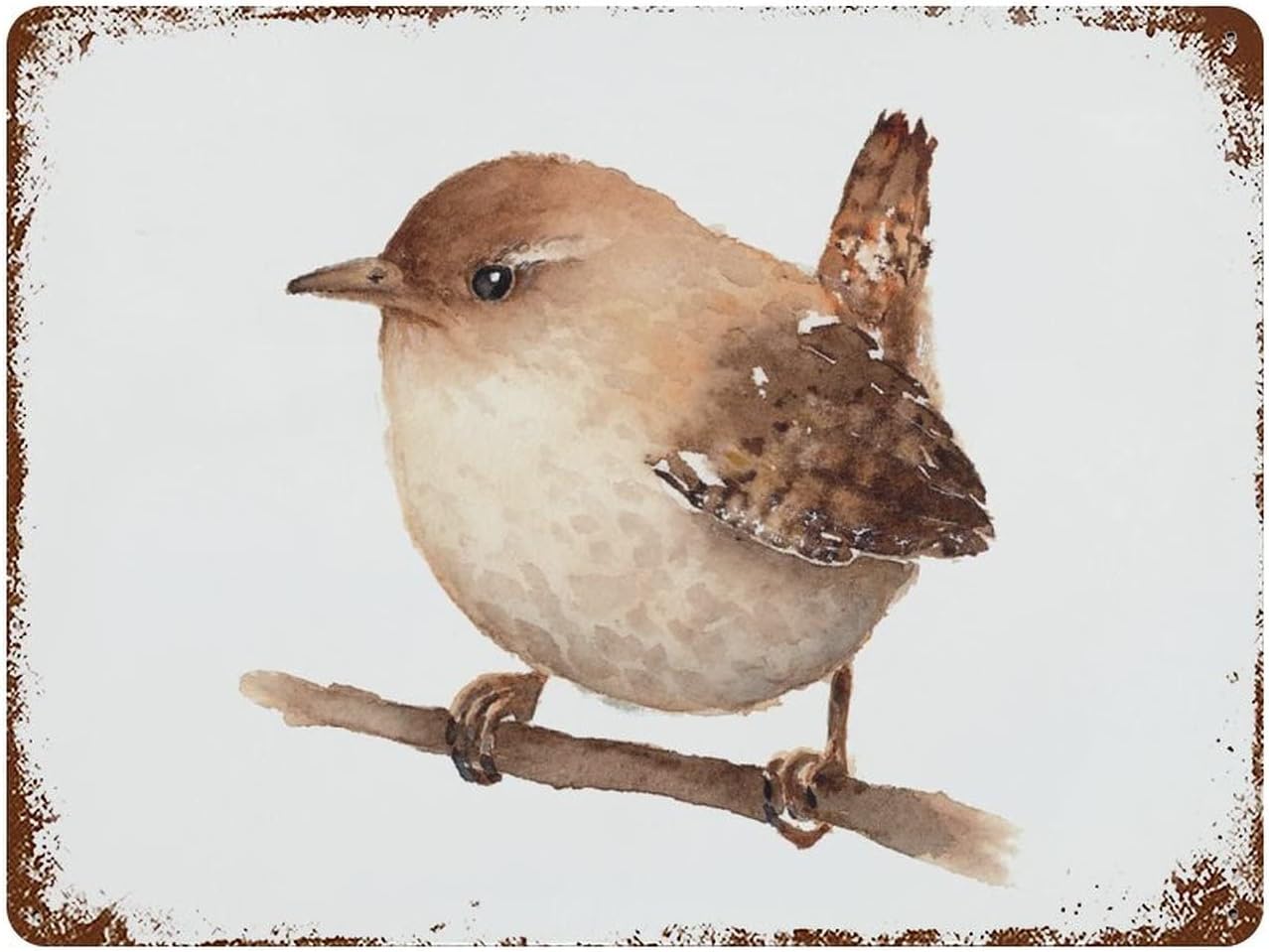 Garden Wren Bird Vintage Metal Plaque Sign Retro Poster Vintage Metal Tin Signs For Women Men Garden Wall Decor For Home Bath 20x30cm(7.8x11.8inch)
Garden Wren Bird Vintage Metal Plaque Sign Retro Poster Vintage Metal Tin Signs For Women Men Garden Wall Decor For Home Bath 20x30cm(7.8x11.8inch)