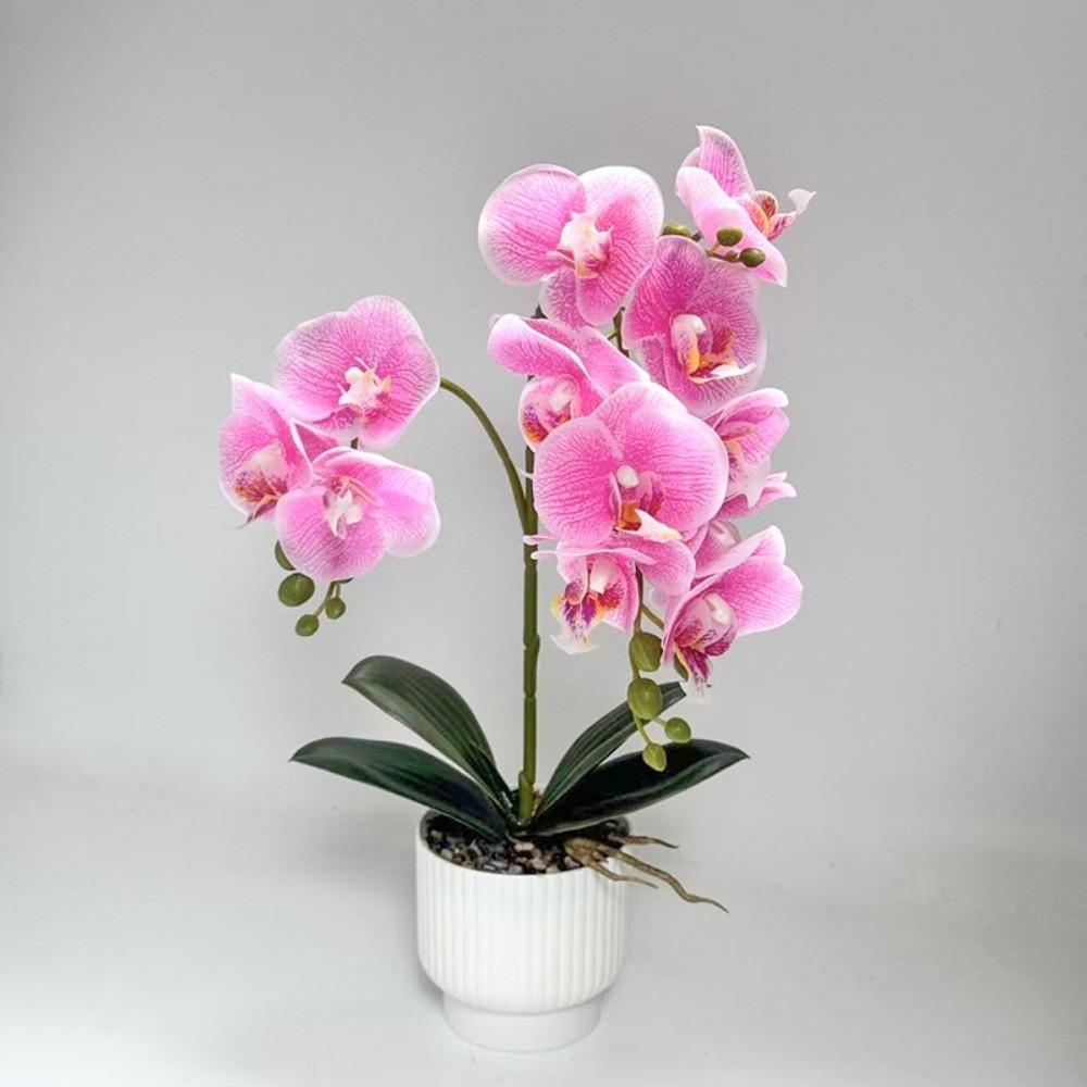 Multi-Bloom Simulated Butterfly Orchid DIY Faux Flowers Artificial Orchid Bonsai White Flower Pot Plastic Fake Flower Home Decor
Multi-Bloom Simulated Butterfly Orchid DIY Faux Flowers Artificial Orchid Bonsai White Flower Pot Plastic Fake Flower Home Decor