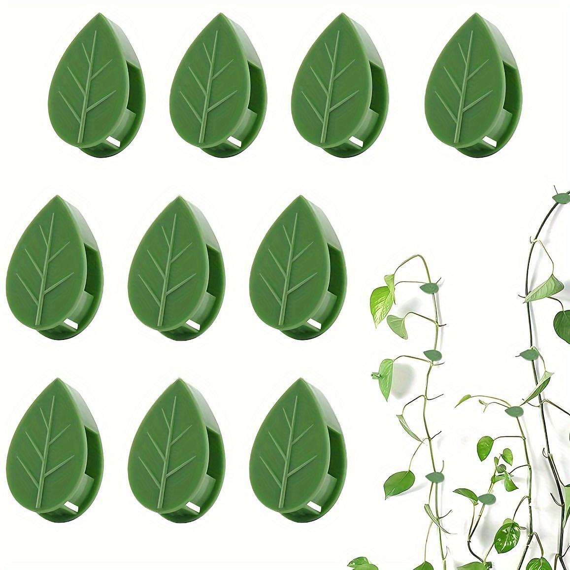 10pcs, Plant Climbing Wall Fixture Clips, Self-adhesive Plant Fixing Hook, Sticky Plant Fixing Clip For Plant Garden Pothos Vine зелёный
10pcs, Plant Climbing Wall Fixture Clips, Self-adhesive Plant Fixing Hook, Sticky Plant Fixing Clip For Plant Garden Pothos Vine зелёный