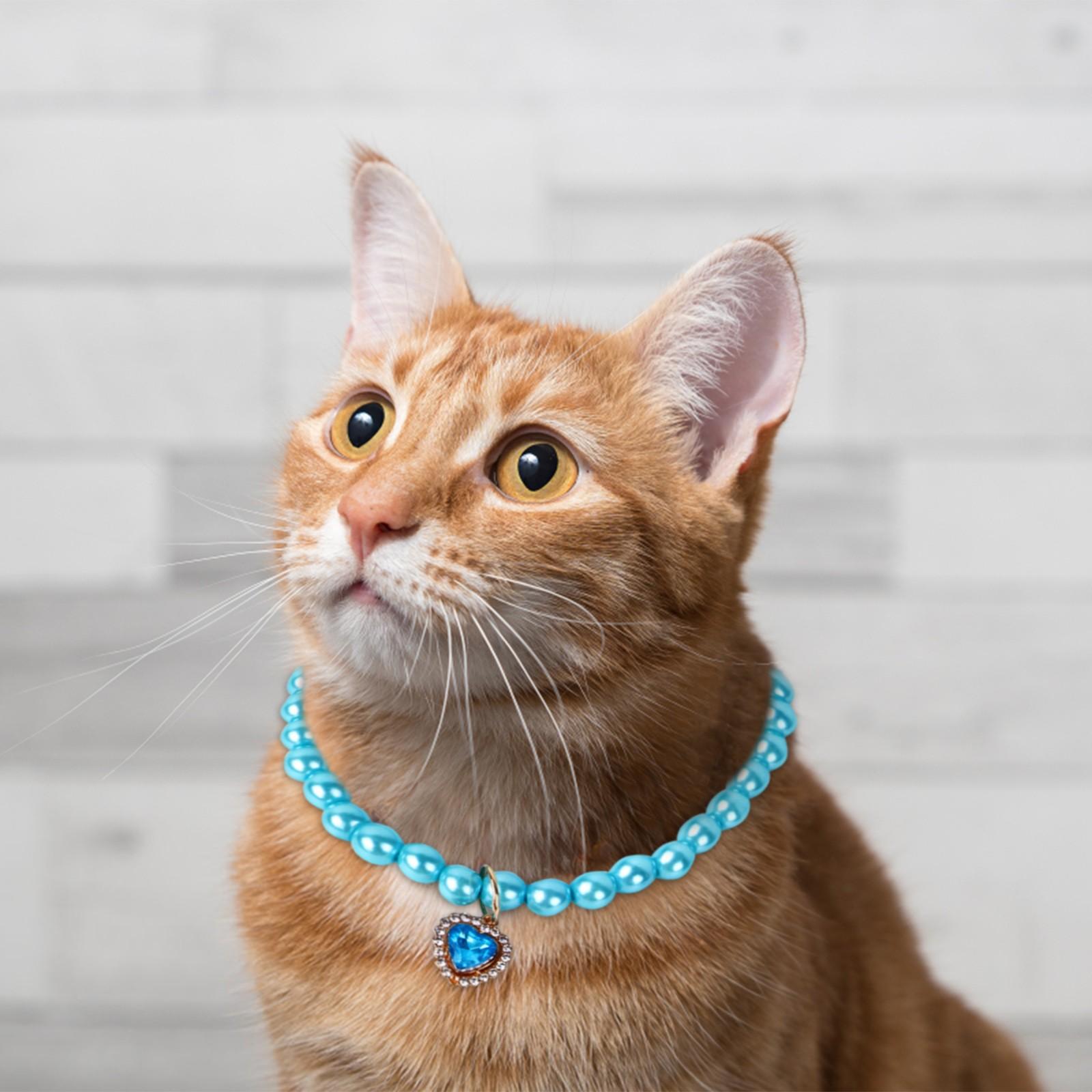 Жемчужный ошейник для собак и жемчужное ожерелье для домашних животных Жемчужный ошейник
Жемчужный ошейник для собак и жемчужное ожерелье для домашних животных Жемчужный ошейник