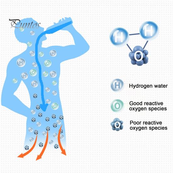 Портативная водородная бутылка на 450 мл с новой технологией PEM и SPE. Ионизатор здоровой воды. Чашка для воды с микроэлектролизом.
Портативная водородная бутылка на 450 мл с новой технологией PEM и SPE. Ионизатор здоровой воды. Чашка для воды с микроэлектролизом.