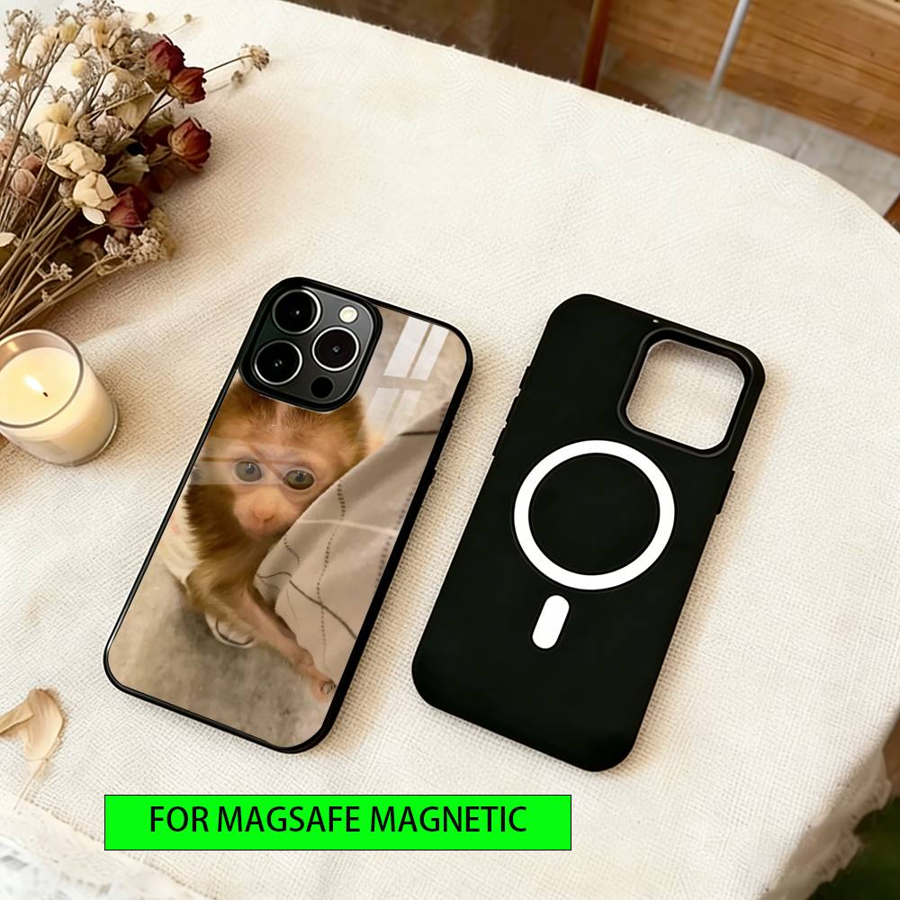 little monkey Phone Case For iPhone17,16,15,14,13,12,11 Plus,Pro Magnetic For Magsafe Wireless Charging iPhone16Pro
little monkey Phone Case For iPhone17,16,15,14,13,12,11 Plus,Pro Magnetic For Magsafe Wireless Charging iPhone16Pro