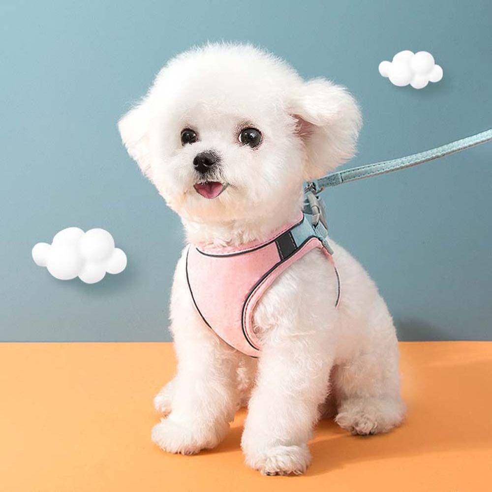 Style Chain Traction Halter Dog Harness Puppy Kitten Dog Necklace Dog Leash Pet Collar Pet Supplies M-Pink Blue
Style Chain Traction Halter Dog Harness Puppy Kitten Dog Necklace Dog Leash Pet Collar Pet Supplies M-Pink Blue