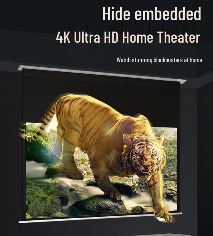 Electric Recessed Ceiling Projector Screen
Electric Recessed Ceiling Projector Screen