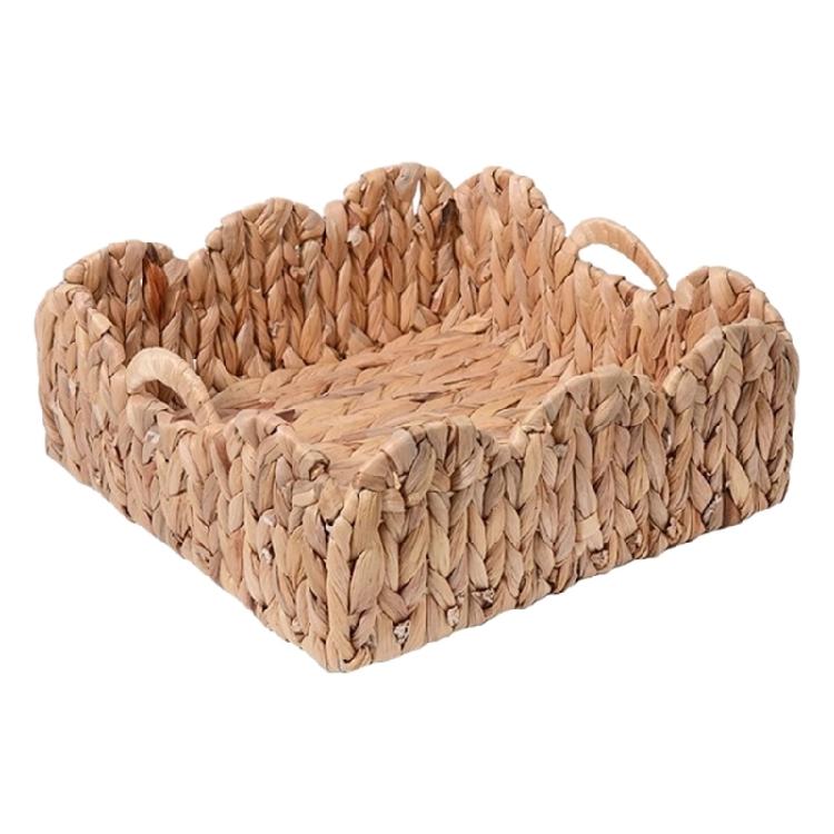 Water Plant Handwoven Bin Handmade Storage Basket With Lace Accent For Organizing Various Household Items 1
Water Plant Handwoven Bin Handmade Storage Basket With Lace Accent For Organizing Various Household Items 1
