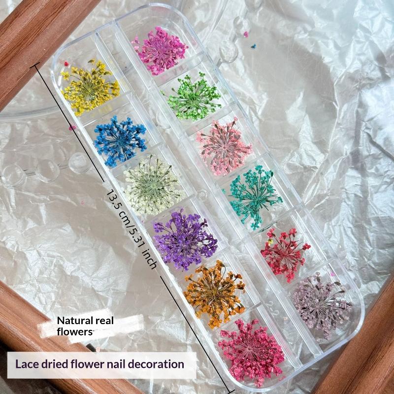 Colorful Dried Flower Nail Charms Set for Manicure 12 Grid Natural Flower Decoration for Salon DIY Accessories
Colorful Dried Flower Nail Charms Set for Manicure 12 Grid Natural Flower Decoration for Salon DIY Accessories