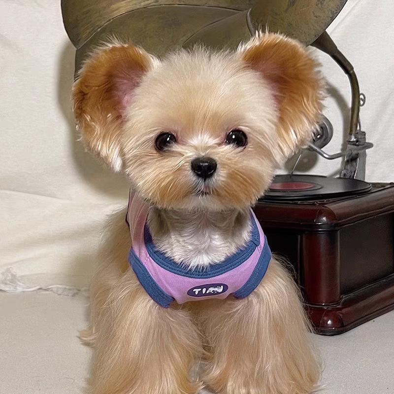 Pet Clothes Yorkshire West Maltese Dog Small Dog New Breathable Elastic Contrasting Vest Clothes (PURPLE,XS(old)) фиолетовый
Pet Clothes Yorkshire West Maltese Dog Small Dog New Breathable Elastic Contrasting Vest Clothes (PURPLE,XS(old)) фиолетовый