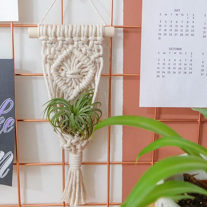 Display Air Plant Stand Elegant Air Plant Stand Sturdy Relaxing Planter Basket For Balcony Garden Living Room Bedroom
Display Air Plant Stand Elegant Air Plant Stand Sturdy Relaxing Planter Basket For Balcony Garden Living Room Bedroom