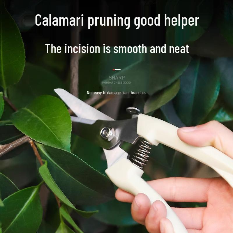 Garden Bonsai Pruning Shears - Ideal for Trees and Branches
Garden Bonsai Pruning Shears - Ideal for Trees and Branches