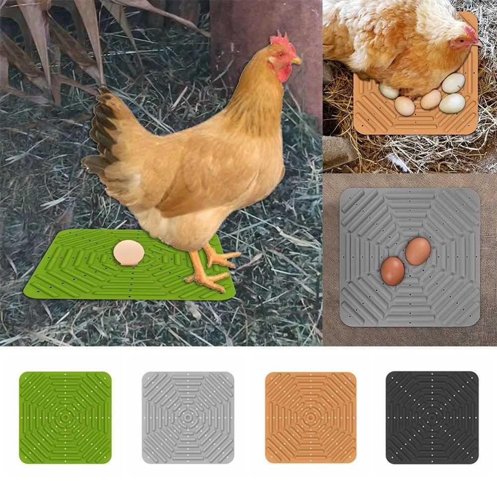Silicone Chicken Nest Protective Mat Washable Chicken Cooping Mat Chicken Nesting Pads Brooder Box
Silicone Chicken Nest Protective Mat Washable Chicken Cooping Mat Chicken Nesting Pads Brooder Box