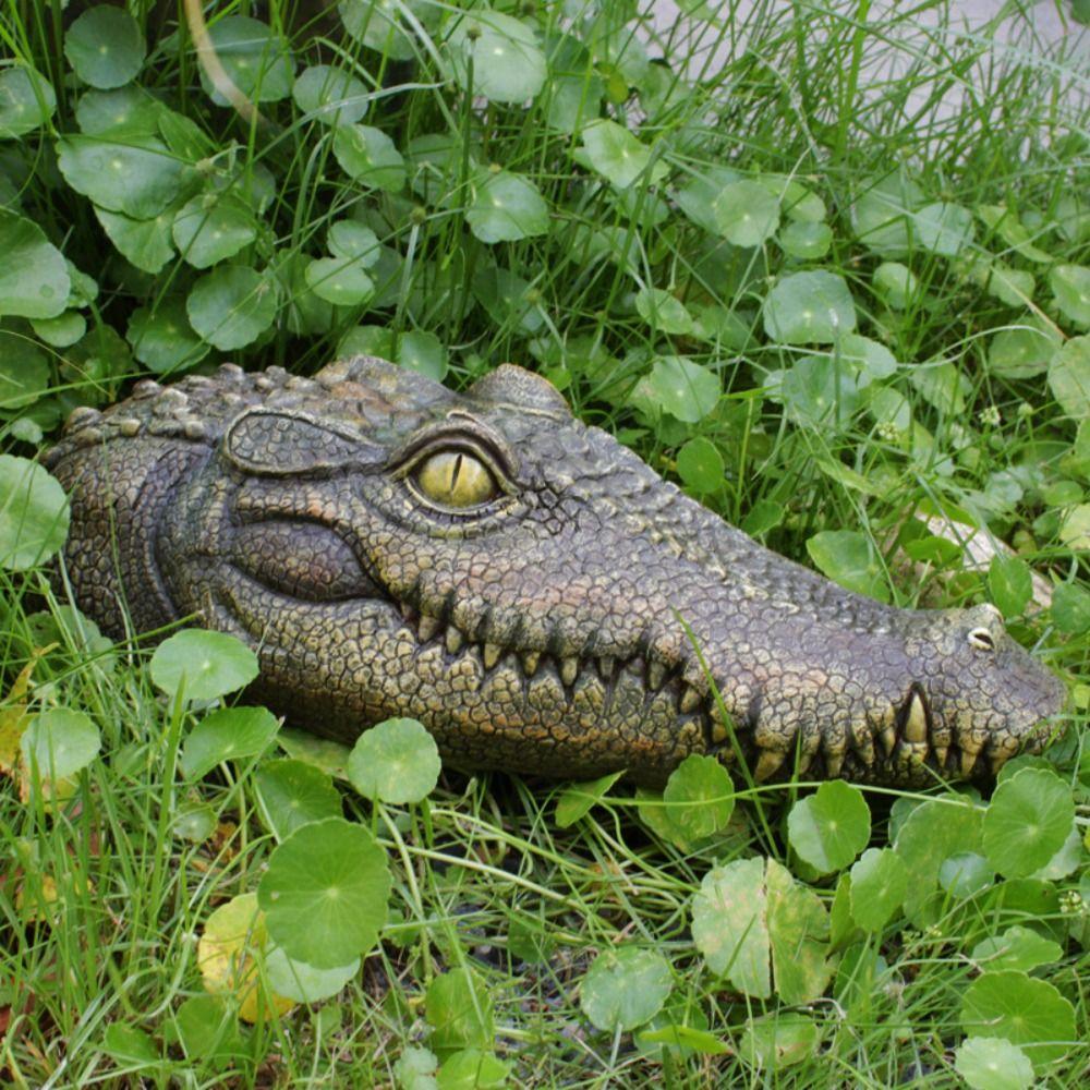 Resin Craft Floating Crocodile Head Water Decor Animal Figurines Decoration Garden Outdoor Decor
Resin Craft Floating Crocodile Head Water Decor Animal Figurines Decoration Garden Outdoor Decor