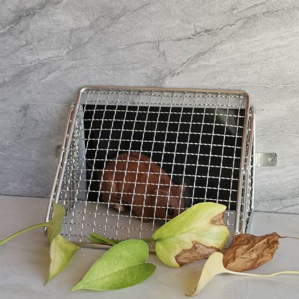 Filter Debris Side Wall Floor Drain Grid Design Roof Floor Drain Rat-proof Drainage Net Residence S
Filter Debris Side Wall Floor Drain Grid Design Roof Floor Drain Rat-proof Drainage Net Residence S