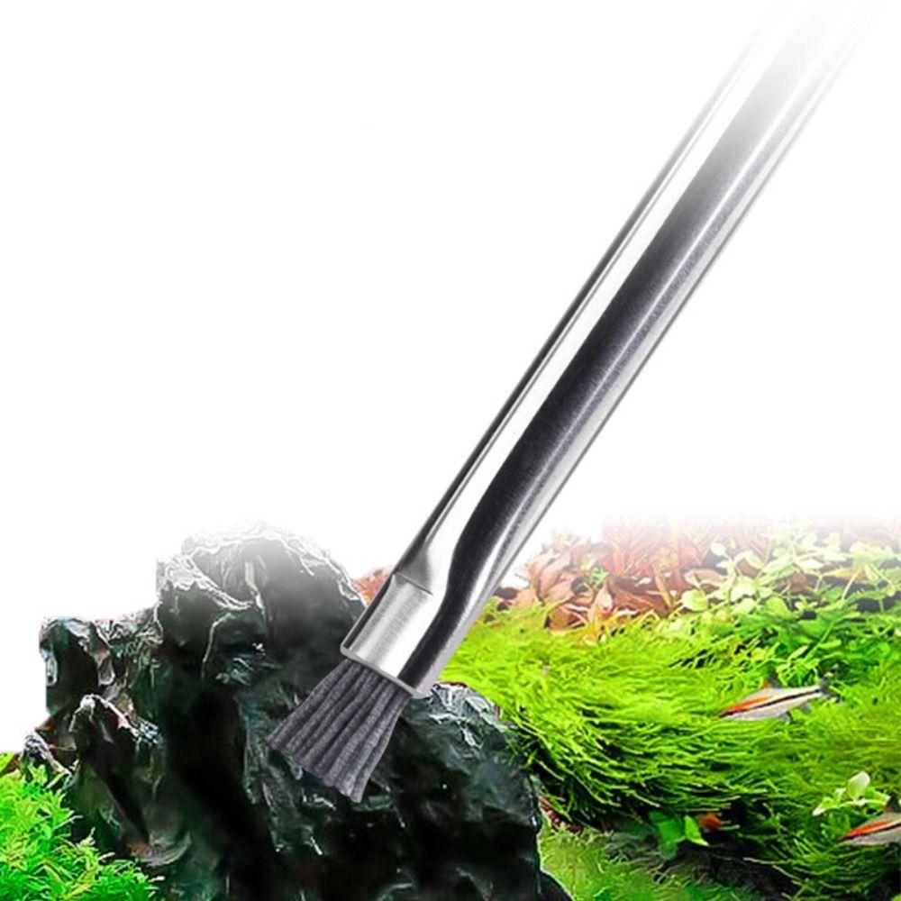 Stainless Steel Fish Tank Cleaning Brush Powerful Soft Hard Bristles Brush Algae Brush Kitchen Soft brush
Stainless Steel Fish Tank Cleaning Brush Powerful Soft Hard Bristles Brush Algae Brush Kitchen Soft brush