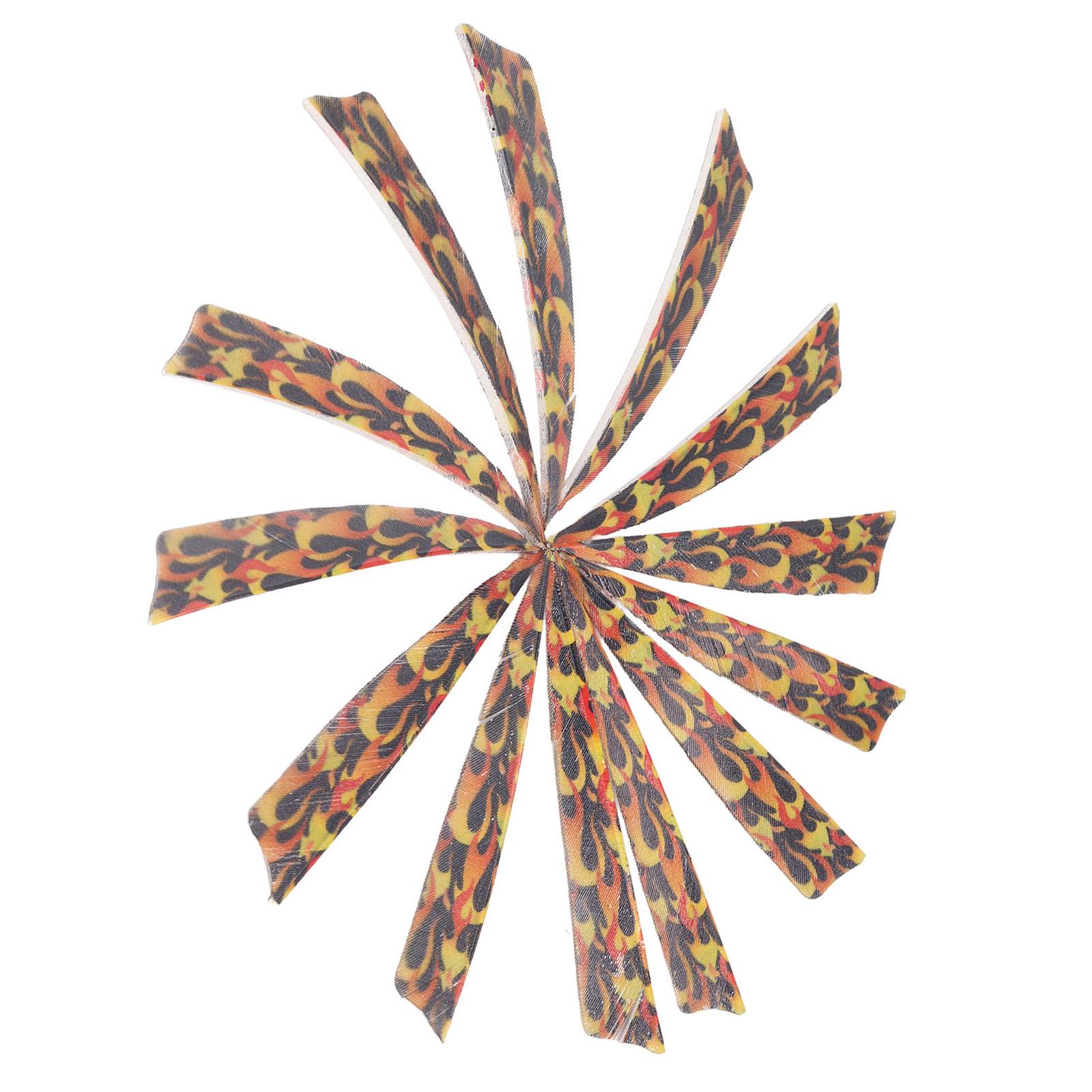 50Pcs Fletches Lightweight Fashionable Versatile 4inch Fletching for Archery
50Pcs Fletches Lightweight Fashionable Versatile 4inch Fletching for Archery