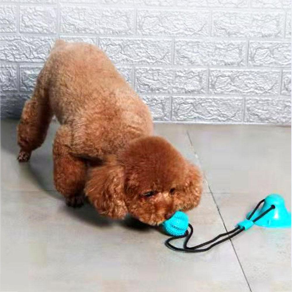 Dog Chew Suction Cup Tug of War Toy Interactive Pet Dog Puzzle Toothbrush Molar Bite Ball Toy Teeth Cleaning and Food Dispensing
Dog Chew Suction Cup Tug of War Toy Interactive Pet Dog Puzzle Toothbrush Molar Bite Ball Toy Teeth Cleaning and Food Dispensing