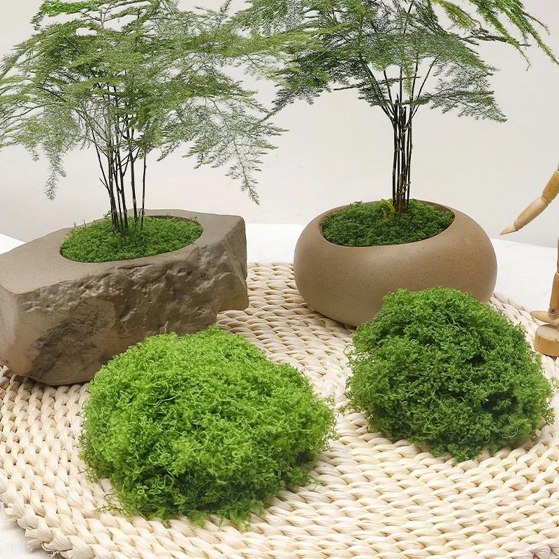 Artificial Green Plants Moss Grass Home Living Room Garden Decoration Mini Landscape Fake Flower DIY Crafts 20gram
Artificial Green Plants Moss Grass Home Living Room Garden Decoration Mini Landscape Fake Flower DIY Crafts 20gram