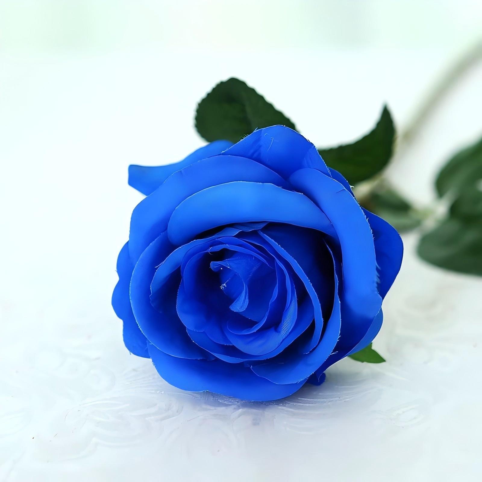 51cm Artificial Flannel Rose Flower Fake Flower For Wedding Home Decoration Valentine s Day Gift - Artificial Flower Decor синий
51cm Artificial Flannel Rose Flower Fake Flower For Wedding Home Decoration Valentine s Day Gift - Artificial Flower Decor синий