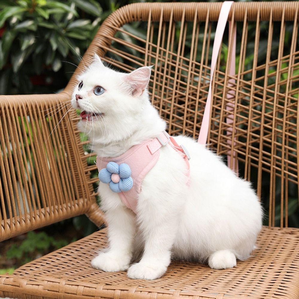 Flower Cat Harness Vest Chest Rope Set Soft Cat Vest Chest Rope Set for Cats Puppy Dogs XS розовый
Flower Cat Harness Vest Chest Rope Set Soft Cat Vest Chest Rope Set for Cats Puppy Dogs XS розовый