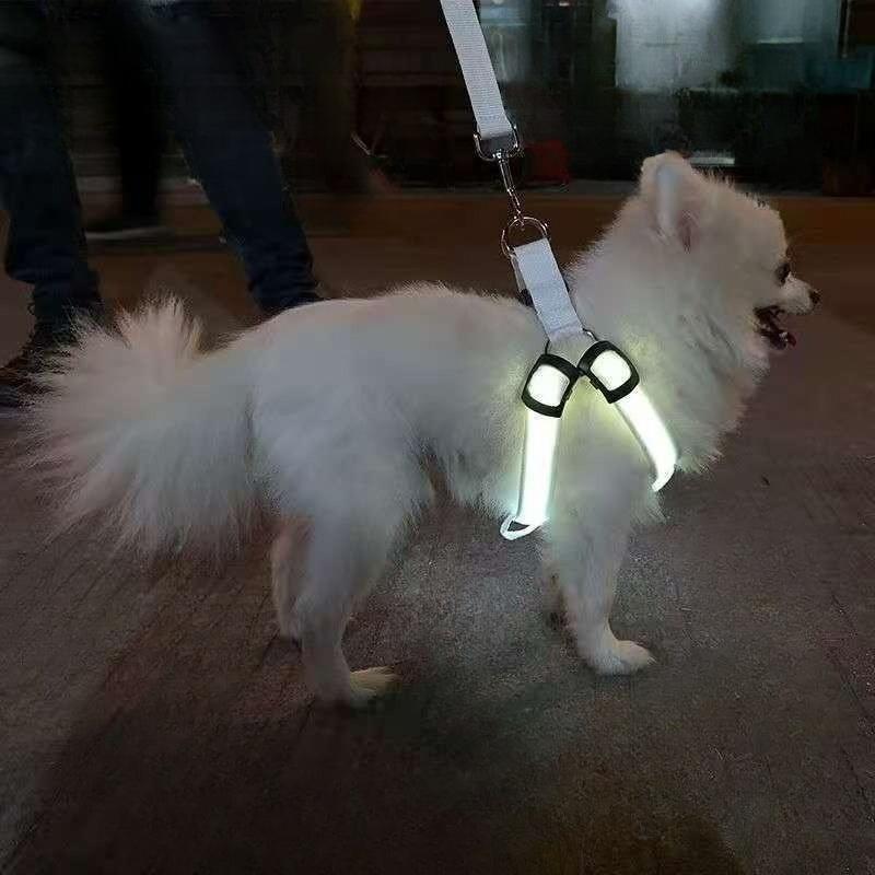 LED Dog Harness Adjustable Reflective Dog Harness Night Light Safety Dogs Glowing Vest High Visibility Running Elastic Band S
LED Dog Harness Adjustable Reflective Dog Harness Night Light Safety Dogs Glowing Vest High Visibility Running Elastic Band S