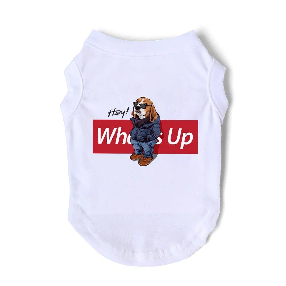 Мода для собак What s Up, майка с медведем, популярная летняя футболка для маленьких и средних щенков, чихуахуа, йорков, французов, футболка для домашних животных, горячая одежда, жилет
Мода для собак What s Up, майка с медведем, популярная летняя футболка для маленьких и средних щенков, чихуахуа, йорков, французов, футболка для домашних животных, горячая одежда, жилет
