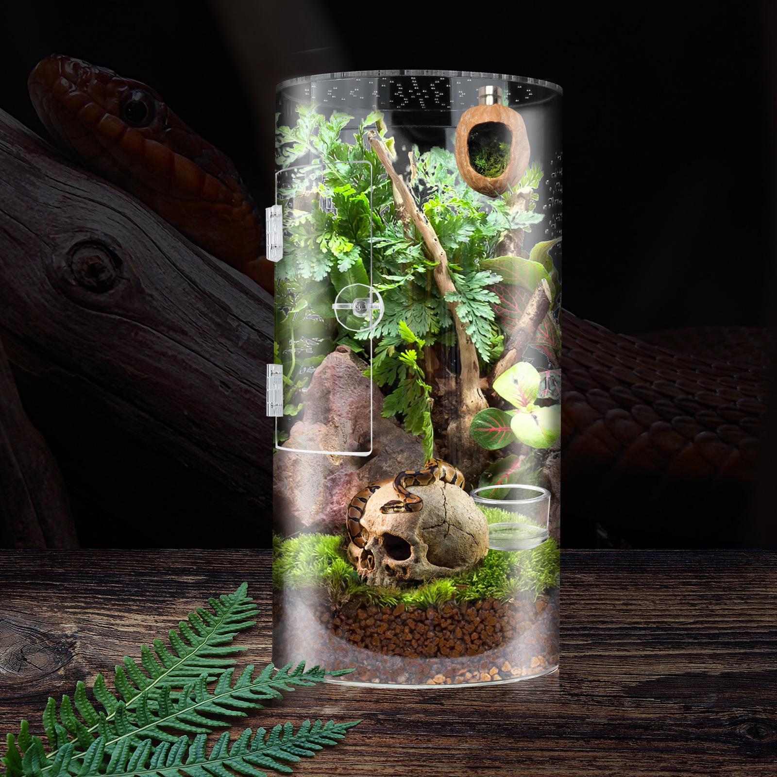 Cylindrical Plastic Pet Habitat Box Front Opening Door Jumping Spider Enclosure Reptile Terrarium
Cylindrical Plastic Pet Habitat Box Front Opening Door Jumping Spider Enclosure Reptile Terrarium