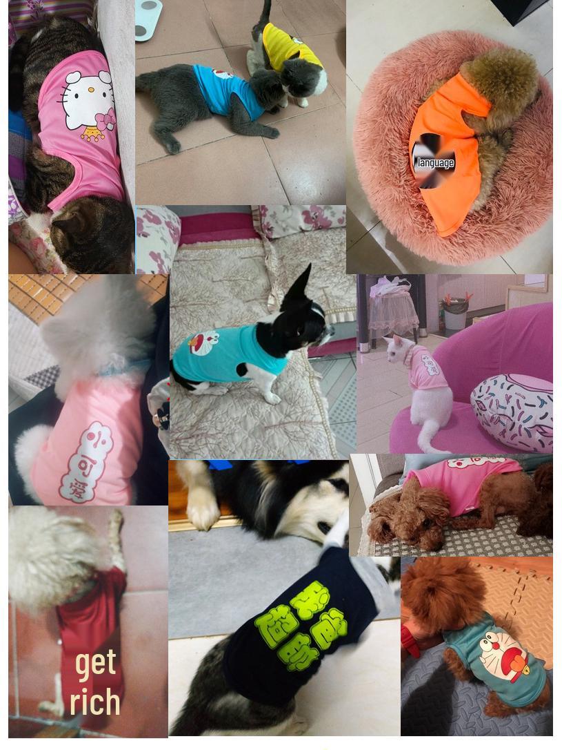 Summer Sleeveless Vest for Small Dogs - Fits Teddy, Pomeranian, and Bichon Frise XL
Summer Sleeveless Vest for Small Dogs - Fits Teddy, Pomeranian, and Bichon Frise XL