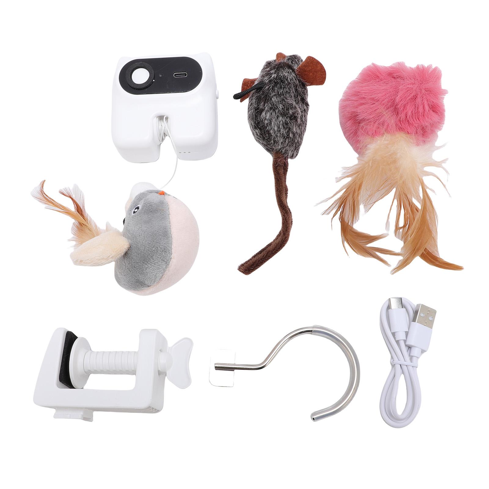 Retractable Interactive Cat Toy Hanging Door Cat Toys Indoor Kitten Play Exercise Physical
Retractable Interactive Cat Toy Hanging Door Cat Toys Indoor Kitten Play Exercise Physical