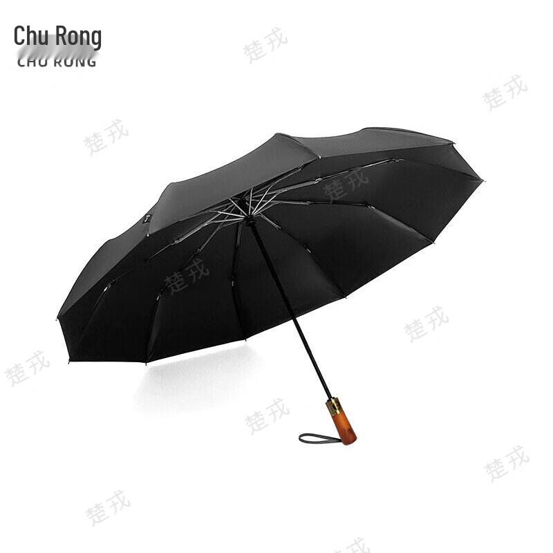 Churong Automatic Folding Travel Umbrella
Churong Automatic Folding Travel Umbrella