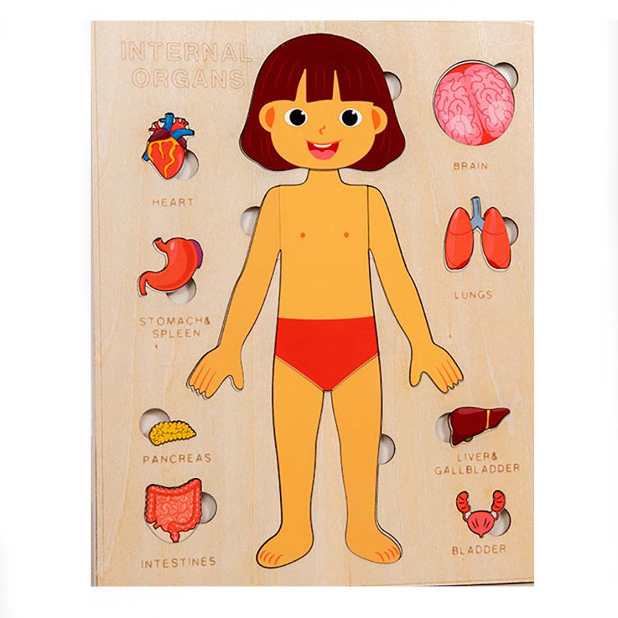 Kids Wooden Montessori Toys Human Body Organs Puzzles Educational Toy Preshool Kindergarten Learning Activities Busy Board
Kids Wooden Montessori Toys Human Body Organs Puzzles Educational Toy Preshool Kindergarten Learning Activities Busy Board